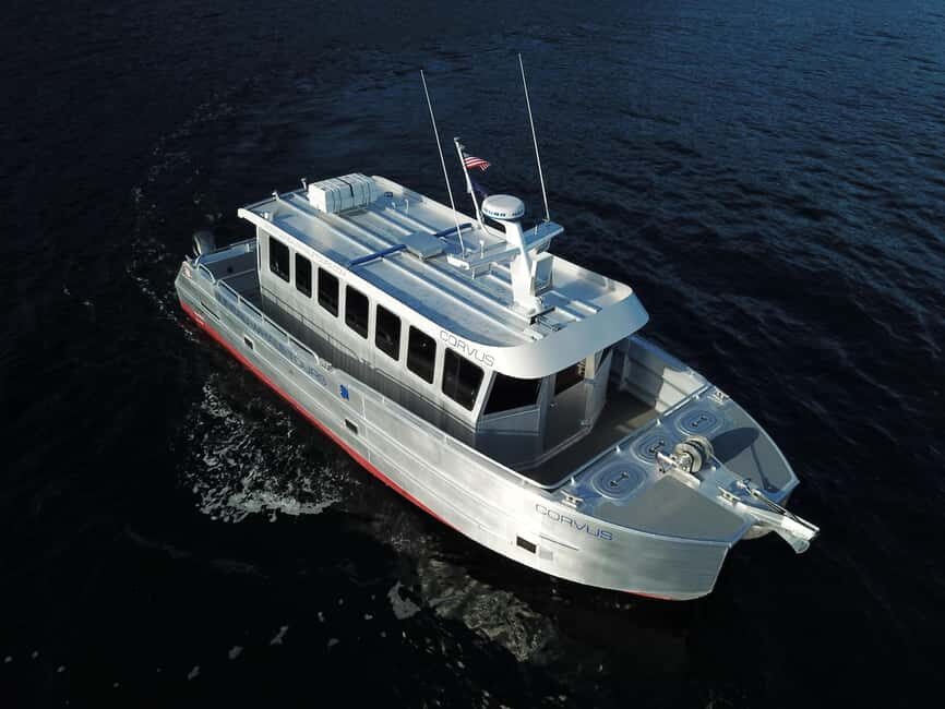 Juneau: 3.5-Hour Small Group Whale Watching Tour - The Sum Up