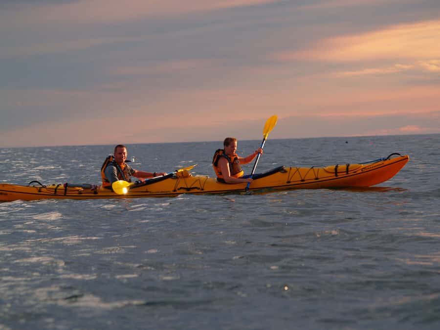 Kaikoura: Sunset Evening Kayaking Tour - Why This Tour Works Well
