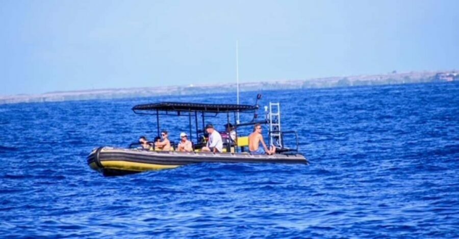 Kailua-Kona: Private Marine Charter Adventure - Who Is This Tour Best For?