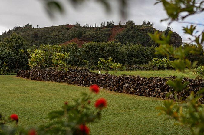 Kauai East Side SHARED Adventute - FAQs