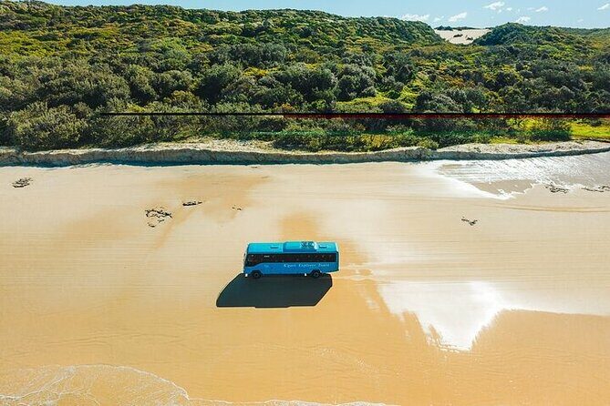 K'gari (Fraser Island) 5-Day Ultimate From Hervey Bay + Illumina - Final Thoughts