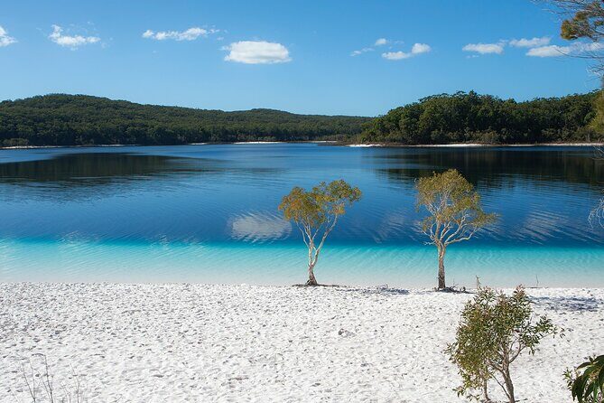 K'gari (Fraser Island) All Inclusive Day Tour - Practical Details and What It Means for You