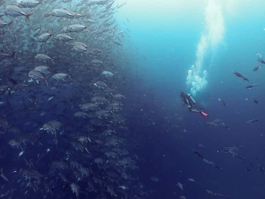 Koh Samui: Dive Tour to Sail Rock - Sail Rock: Why It’s a Must-Visit