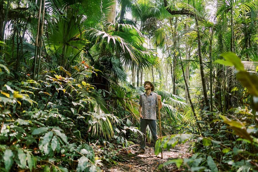 Kona Cloud Forest Sanctuary Montane Jungle Tour (2.5 hrs) - Price and Value