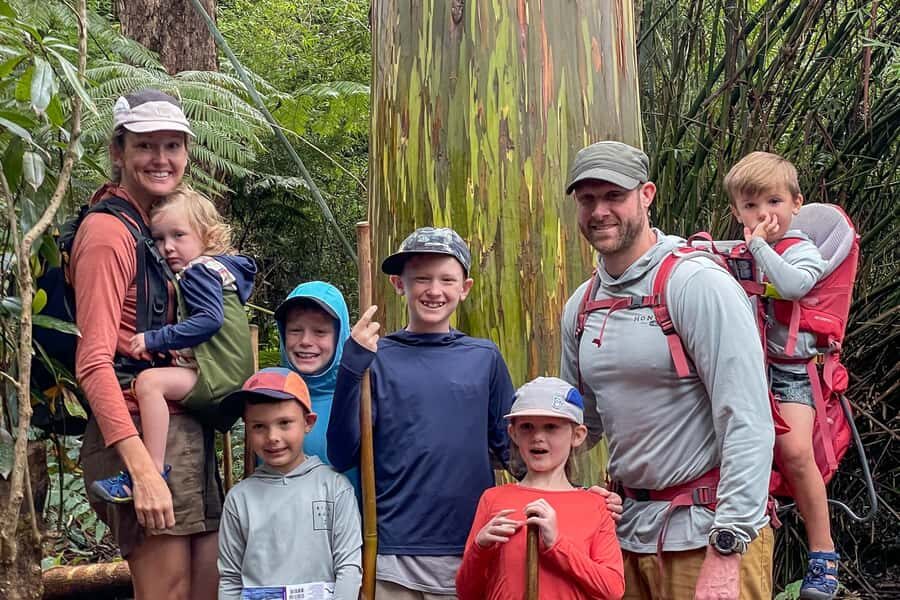 Kona Cloud Forest Sanctuary: Pan-Tropical Trail Guided Walk - A detailed look at the Kona Cloud Forest Sanctuary guided walk