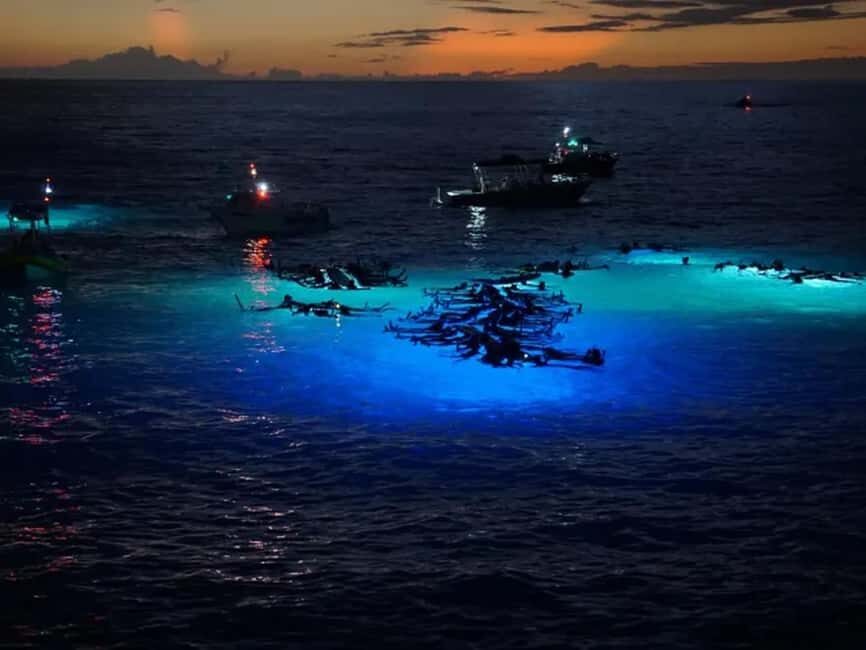 Kona: Manta Ray Night Snorkel Adventure - The Value of This Tour