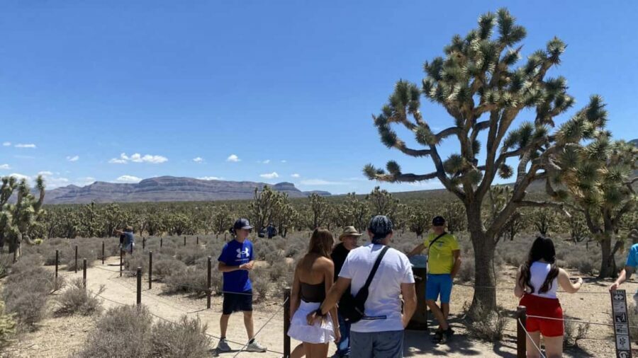Las Vegas: Grand Canyon Helicopter & Ranch Adventure by Bus - Authenticity and Real Traveler Insights