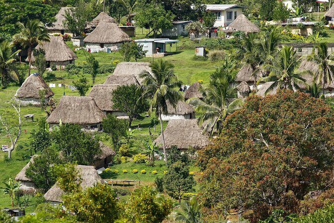 Lautoka Orchids & Village Life: Private Shore Tour 4 Hours - Analyzing the Value
