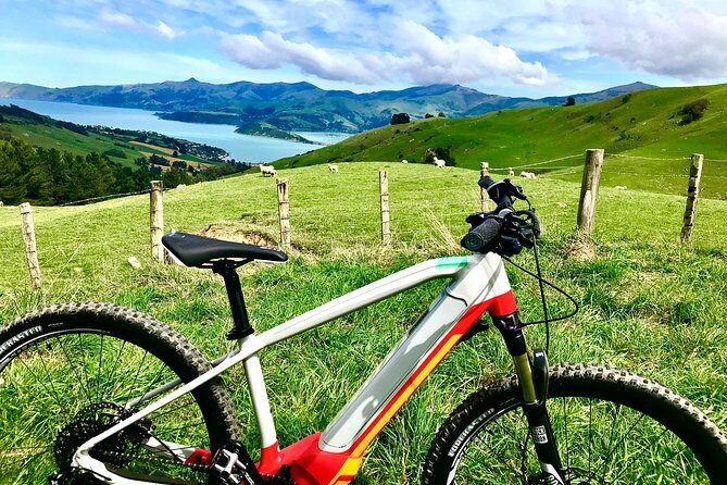 Lava Loop- Guided electric mountain bike tour in Akaroa - What to Expect on the Lava Loop Mountain Bike Tour