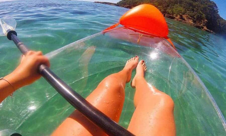Leigh: Goat Island Clear Kayak Rental - What to Expect from Your Goat Island Clear Kayak Adventure