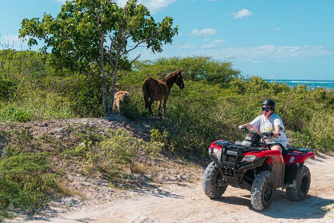 Lets Ride Adventures ATV Tour in Grand Turk - The Sum Up