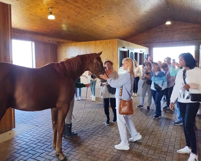 Lexington: Thoroughbred Horse Farm Tour and Scenic Bluegrass - What We Think About the Value