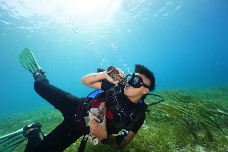 Mactan Sanctuary: Discover Scuba Diving, Island Hop, & Lunch - What to Expect from the Tour