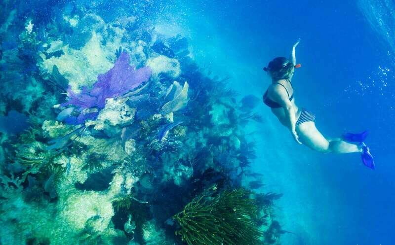 Mahahual: Snorkel Tour in Reef Lagoon - Why This Tour Works Well