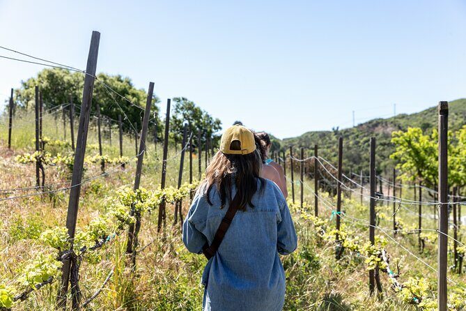 Malibu: Guided Vineyard Hike with Photo Stops and Wine - What Do Travelers Say?