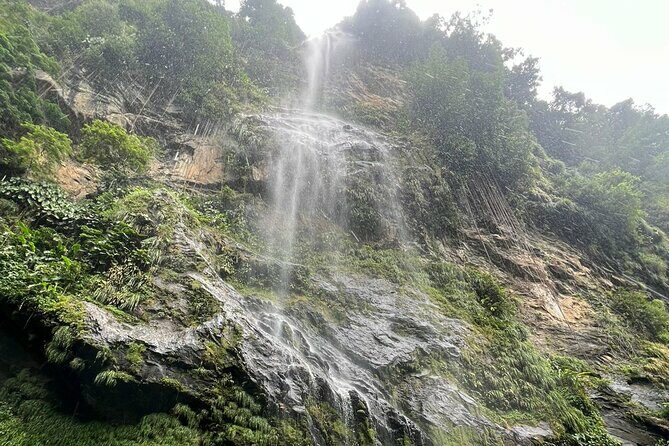 Maracas Waterfall - Who Should Consider This Tour?