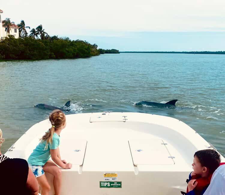 Marco Island: Private Shelling & Dolphin Excursion - Authentic Experiences from Reviewers