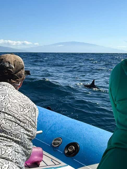 Maui: Eco-Raft Dolphin Watch Tour with Snacks - Itinerary Breakdown