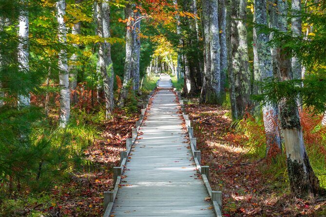MDI Private Discovery Tour - Explore Beyond Acadia (five hours) - Analyzing the Value