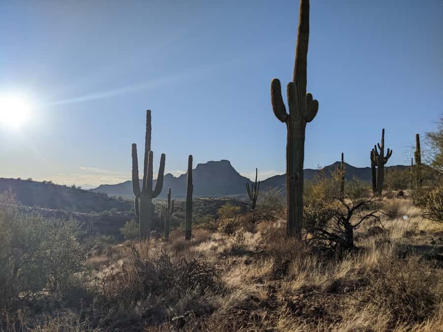 Mesa: Copper Mile Desert Hike - The Guides and Group Setting
