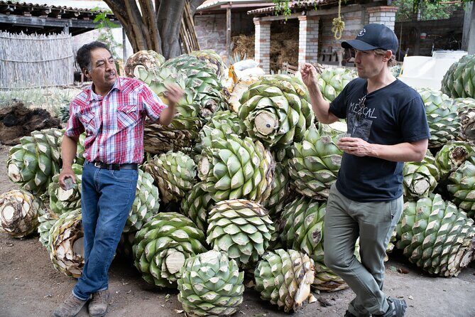 Mezcal Distillery Day Trip - Authenticity and the Experience’s Overall Appeal