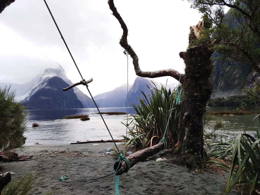 Milford Sound, Mount Cook & More: 4 Day Tour from Auckland - Transportation and Logistics