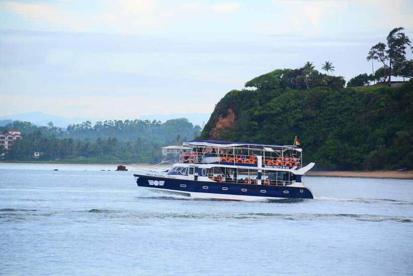 Mirissa: Whale Watching Tour - What Makes This Tour Stand Out