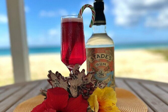 Mixology Class in Bridgetown 10 Minutes from Cruise Terminal - What to Expect During the Tour