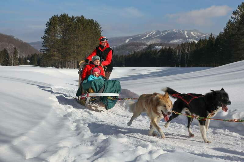 Mont-Tremblant: Guided Dogsledding Tour with Hot Chocolate - The Itinerary Breakdown