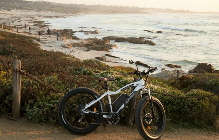 Monterey: 17-Mile Drive Guided E-Bike Tour - An In-Depth Look at the Experience