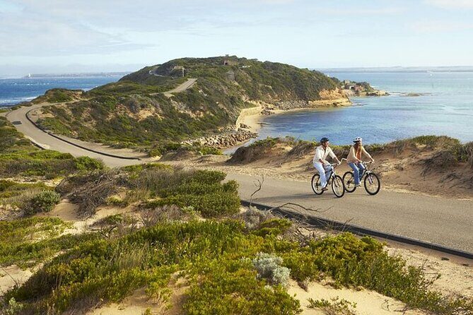 Mornington Peninsula Coastal Discovery Tour from Melbourne - Practical Details and What to Expect