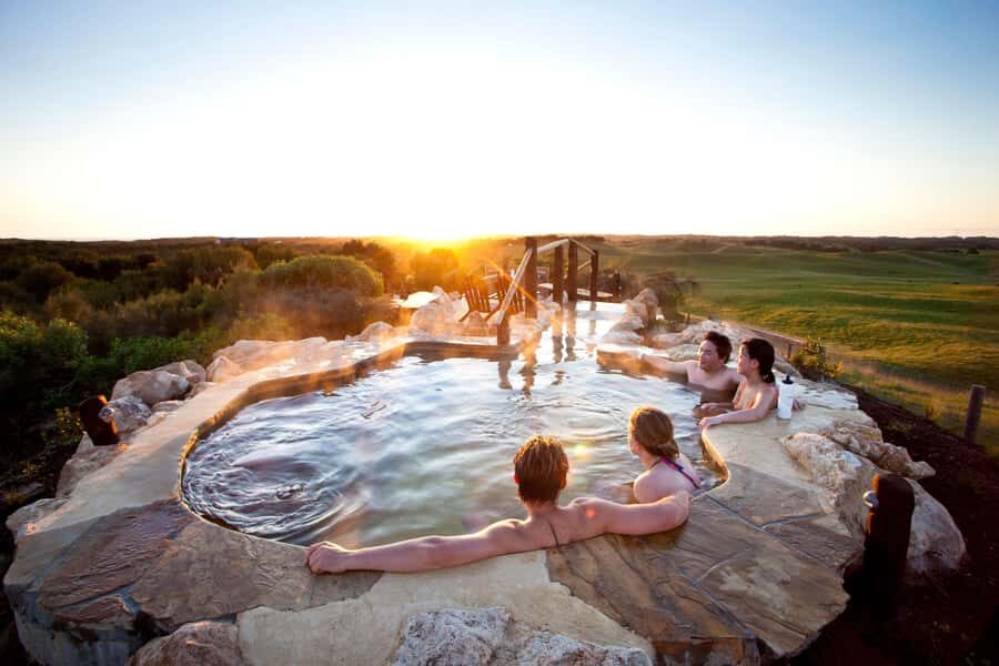 Mornington Peninsula Tour: wildlife, wine, art & hot springs - Authentic Experiences and Hidden Gems