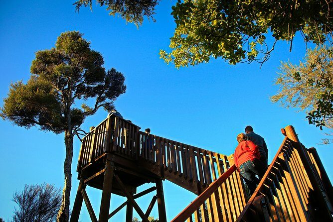 Motuara Wildlife Sanctuary Tour and Dolphin Cruise from Picton - The Bottom Line