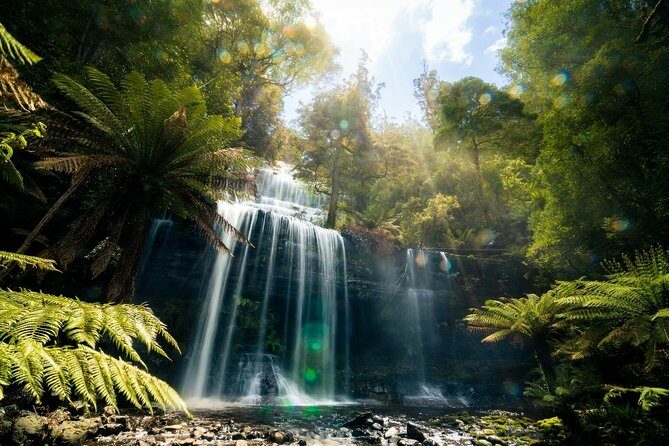 Mount Field Day Tour Private Charter Service ( 3 days in advance - Transportation and Practical Details
