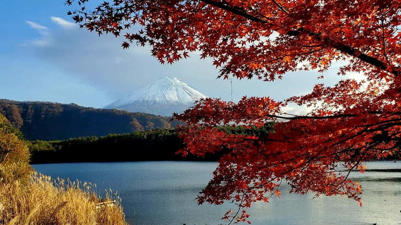 Mount Fuji Full-Day Private Tour from Tokyo (Customizable) - The Experience: What You’ll See and Do