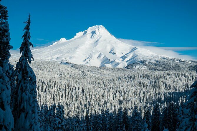 Mt. Hood Winter Wonderland Snowshoe Adventure - The Route and What It Means for You