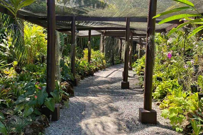 Nadi Fiji Historical Half Day Tour - Who Will Love This Tour?