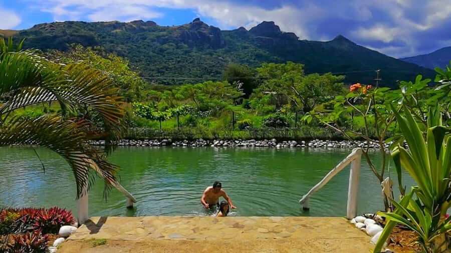 Nadi: Mud Pool and Hot Spring Private Tour - What to Expect at the Mud Pool and Hot Spring
