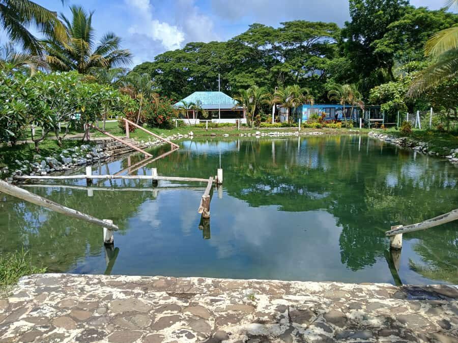 NADI: Tifajek Mud Pool and Hot Spring Natural Spa Tour - Who Will Enjoy This Tour Most?