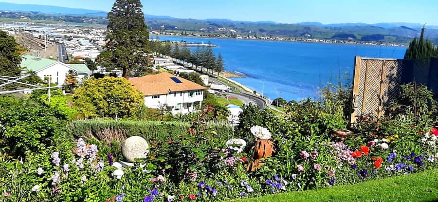 Napier: Art-Deco + Te Mata Peak+ Garden Walk + Wine Tasting - What Are the Main Highlights?