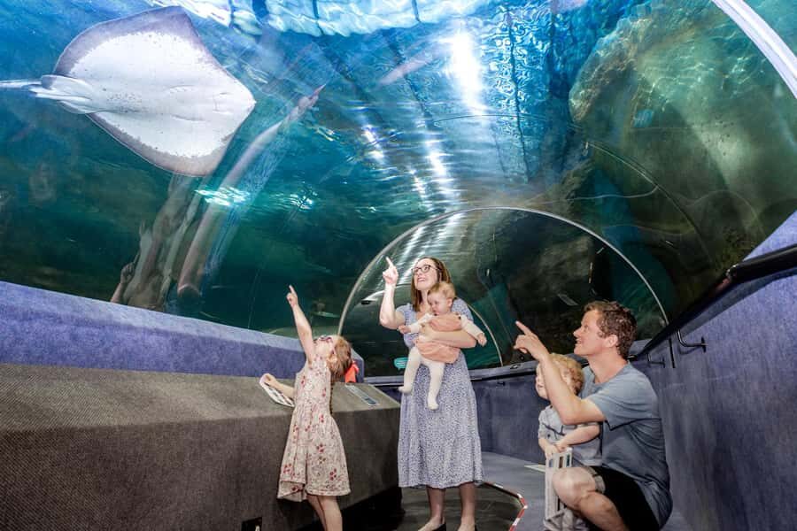 Napier: National Aquarium of New Zealand General Admission - The Highlights: Why It’s Worth Your Time