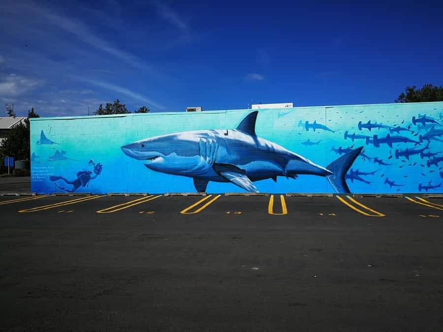 Napier: Shore Excursion with Wine Tasting and Platter - How to Make the Most of This Tour