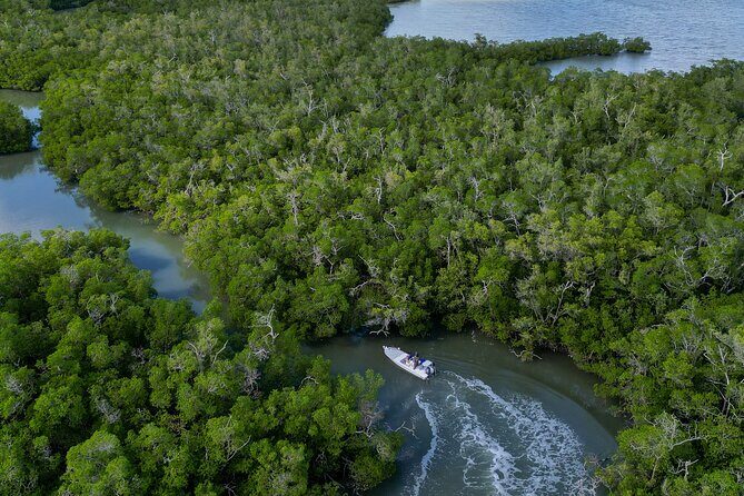 Naples Half-Day Fly Fishing Activity - What’s Included and What’s Not