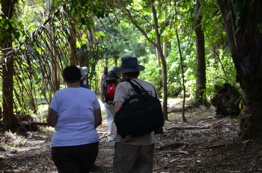 Nariva Swamp: Monkey Viewing Experience - Frequently Asked Questions