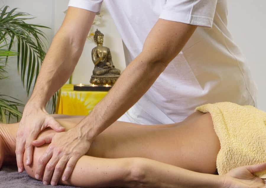 Negombo: Private City Tour with Ayurvedic Massage & Lunch - Who Will Appreciate This Tour?