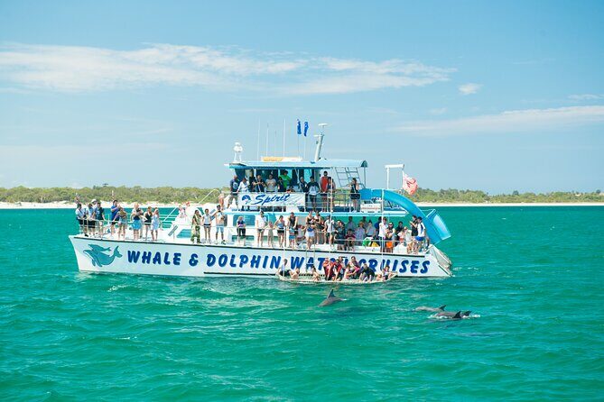 Newcastle: Animal Lovers Tour - Kangaroos, Dolphins & more! - What Travelers Say