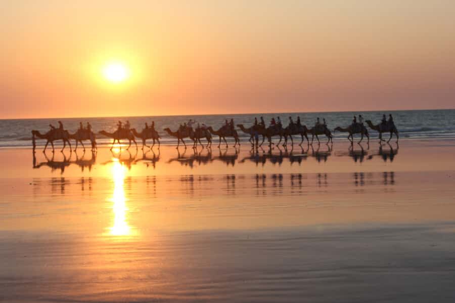 North of Rocks on Cable Beach: 1-Hour Sunset Camel Ride - What Makes This Tour Special?