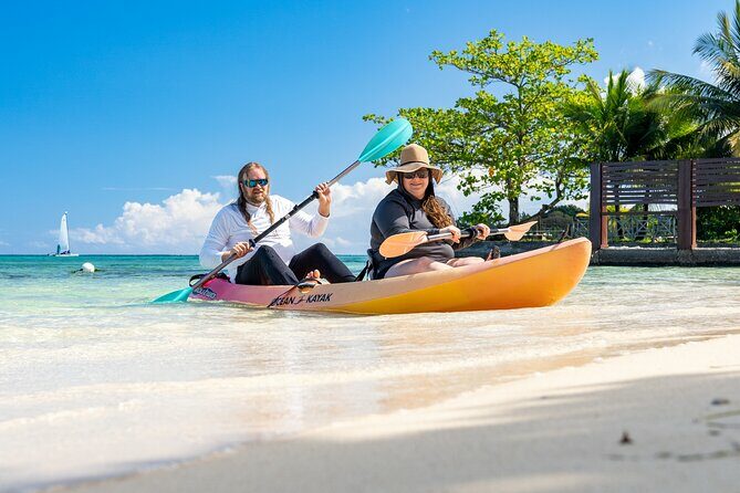 Ocho Rios Gourmet Jamaican Food and Private Beach Experience - Who Will Love This Tour?