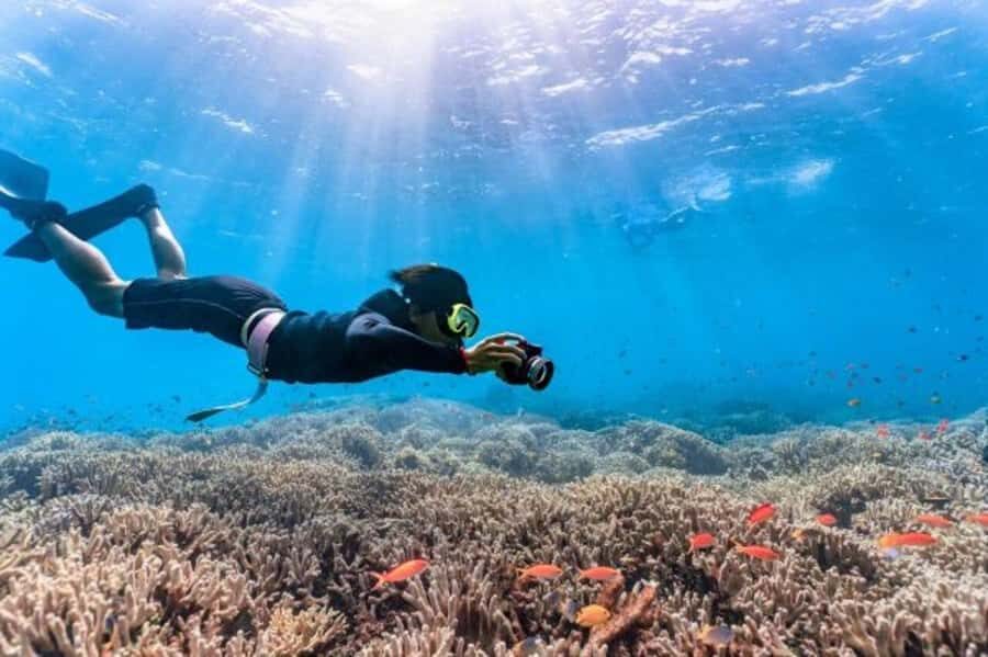 Okinawa: Blue Cave Freediving Tour with GoPro Photos - The Breakdown of the Itinerary