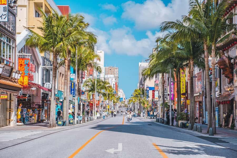 Okinawa: Private Romantic Tour with Driver - Okinawan Crafts and Cultural Shows